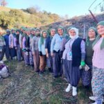 8 Mart Kadınlar Günü’nde Üzüm Bağında Çalışan Kadınlar