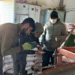 Kars’ta Değirmenlerde Bahar Hareketliliği