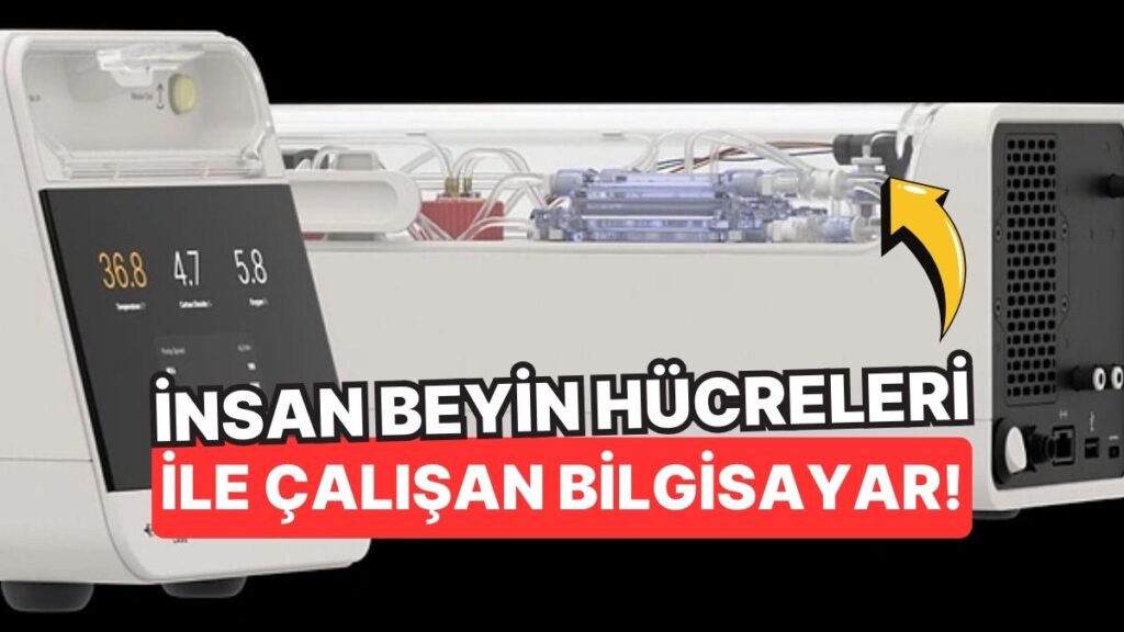 İnsan Beyin Hücreleriyle Çalışan Biyolojik Bilgisayar: CL1