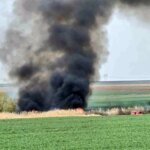 Muratlı’da Sazlık Alanı Yangını Kontrol Altına Alındı