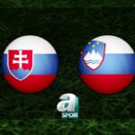 “SLOVAKYA – SLOVENYA MAÇI NE ZAMAN, SAAT KAÇTA VE HANGİ KANALDA?”
