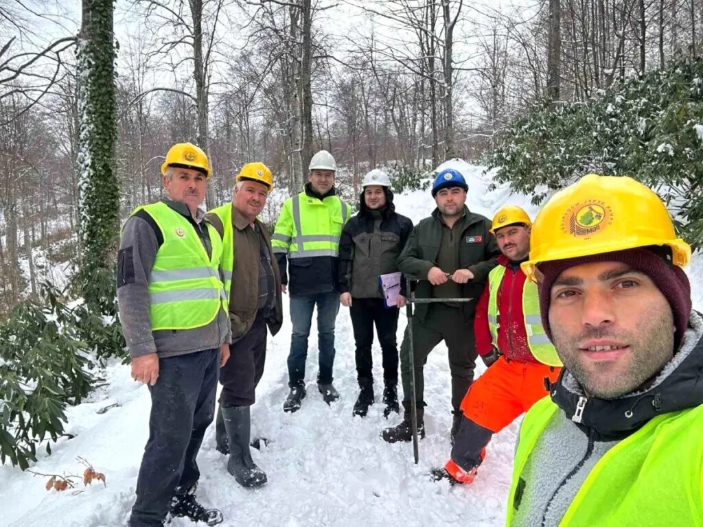 Türkeli’de Sürdürülebilir Orman Üretimi Çalışmaları Başlatıldı!