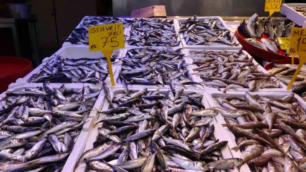 Balıkçılar Nisan 15’te Paydos Ediyor!