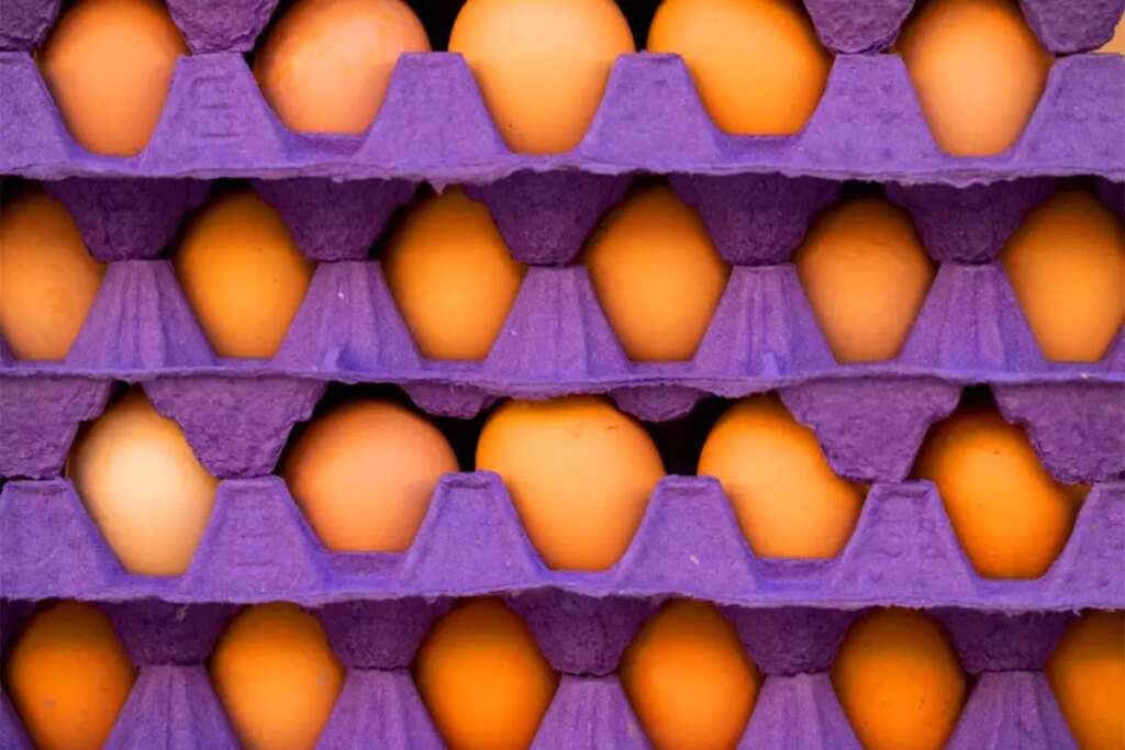 ABD’DE YUMURTA KRİZİ: FİYATLAR YÜKSELİŞTE
