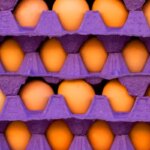 ABD’DE YUMURTA KRİZİ: FİYATLAR YÜKSELİŞTE