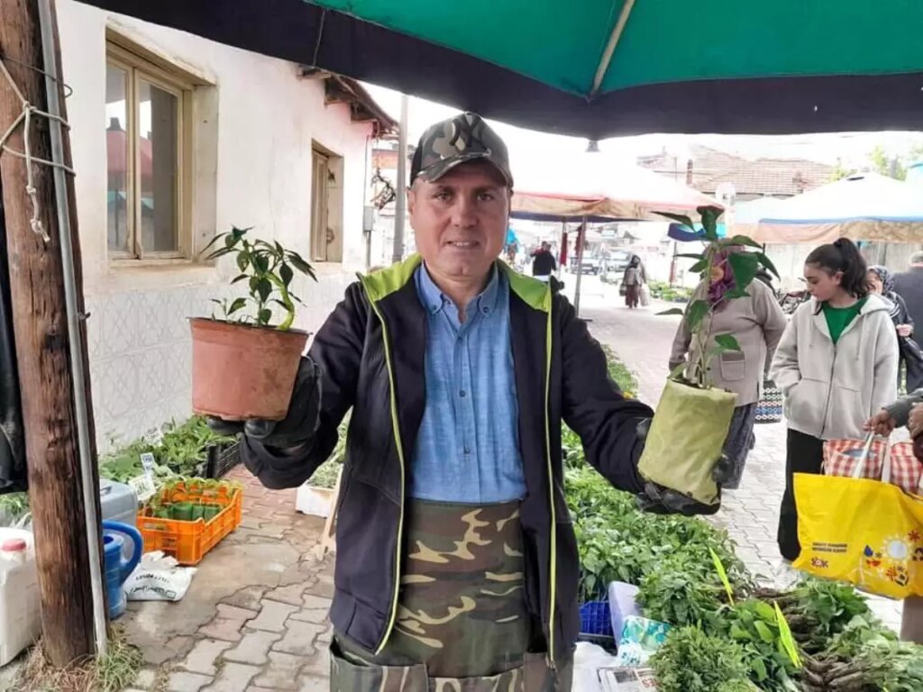 Sarıgöl’de Yazlık Sebze Fideleri Satışta!
