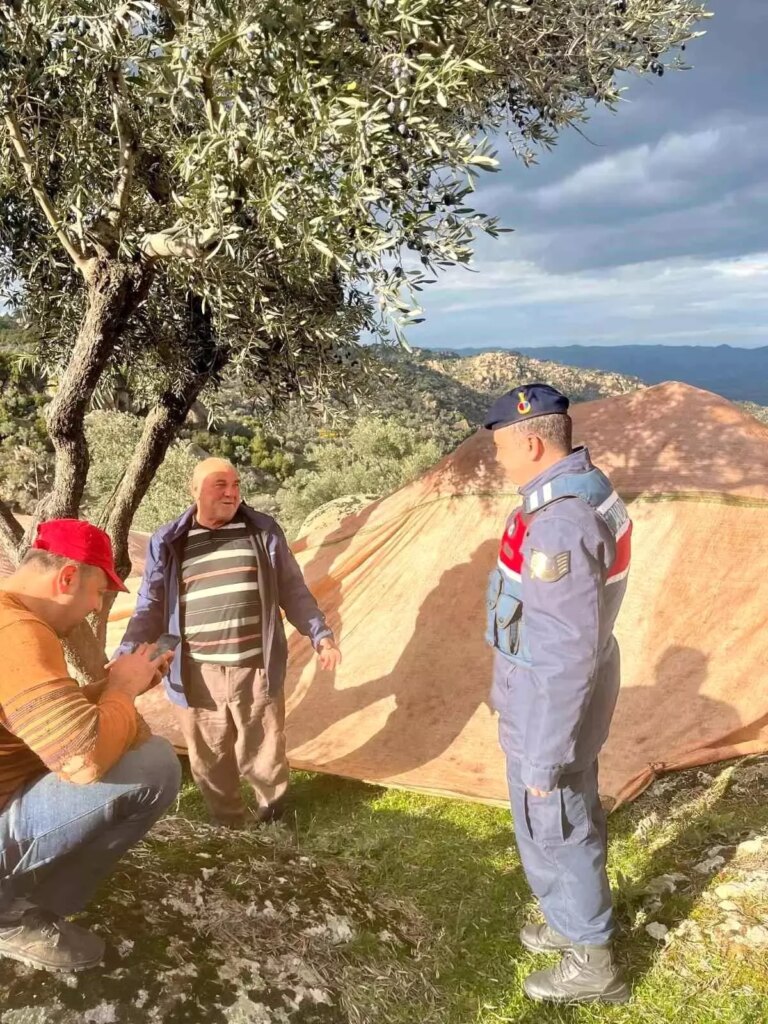 Zeytin Hırsızlığına Dikkat Çekildi! Jandarma Üreticileri Uyardı
