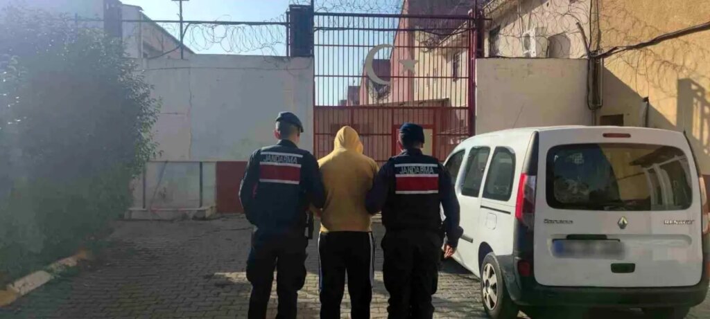 Zeytinyağı Hırsızları Jandarmadan Kaçamadı