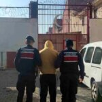 Zeytinyağı Hırsızları Jandarmadan Kaçamadı